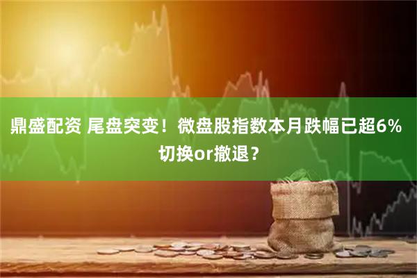 鼎盛配资 尾盘突变!微盘股指数本月跌幅已超6% 切换or撤退?
