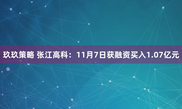 玖玖策略 张江高科：11月7日获融资买入1.07亿元