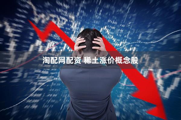淘配网配资 稀土涨价概念股