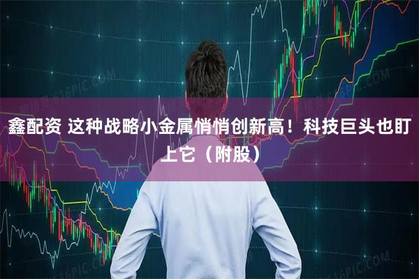 鑫配资 这种战略小金属悄悄创新高！科技巨头也盯上它（附股）